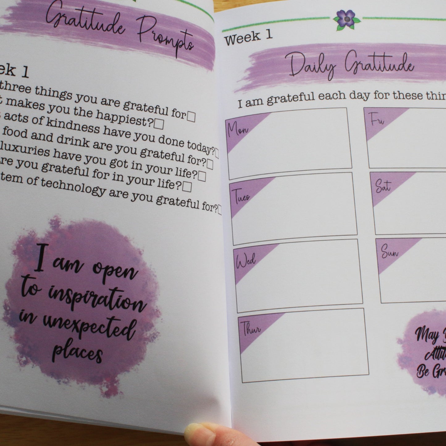 Gratitude Growth Focus Book + Letterbox Giftbox