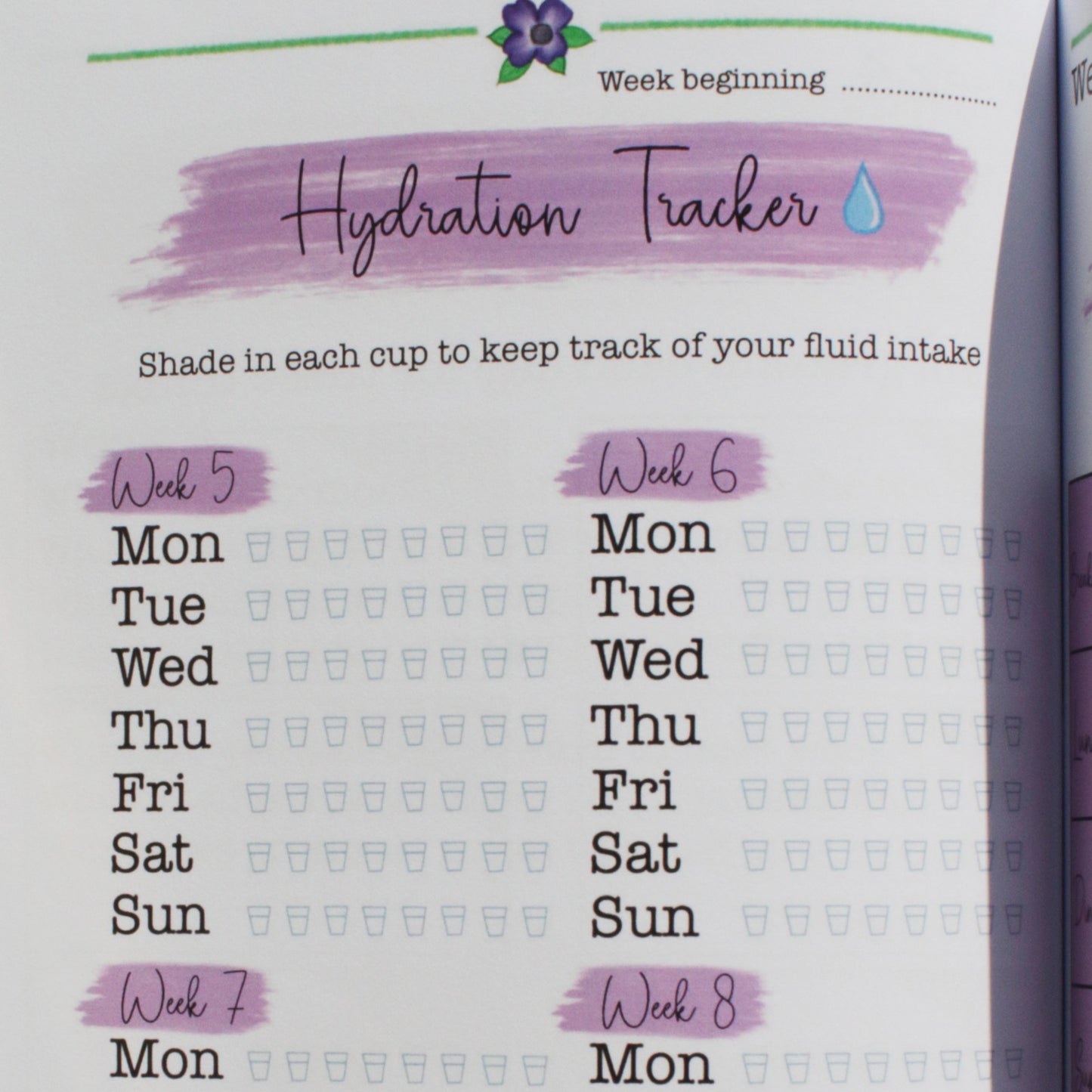 Gratitude Growth Focus Book + Letterbox Giftbox