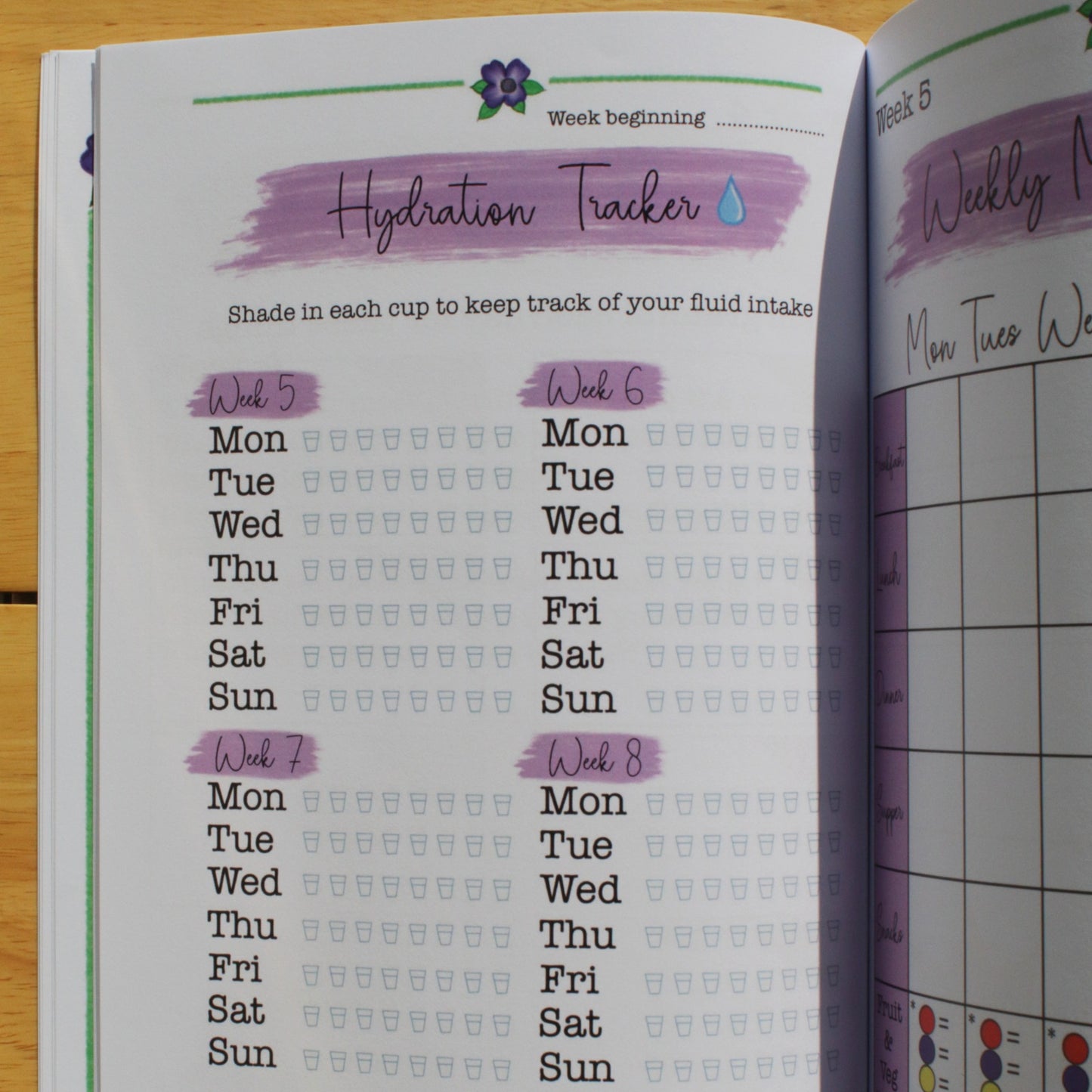 Gratitude Growth Focus Book + Letterbox Giftbox
